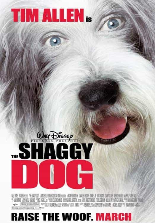 The Shaggy Dog